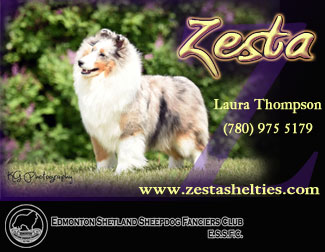 Zesta